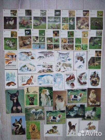 Наборы Открытки СССР