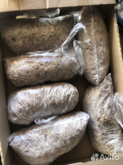 Корма для животных