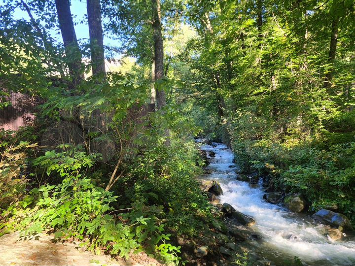 Участок 66 сот. (ИЖС)