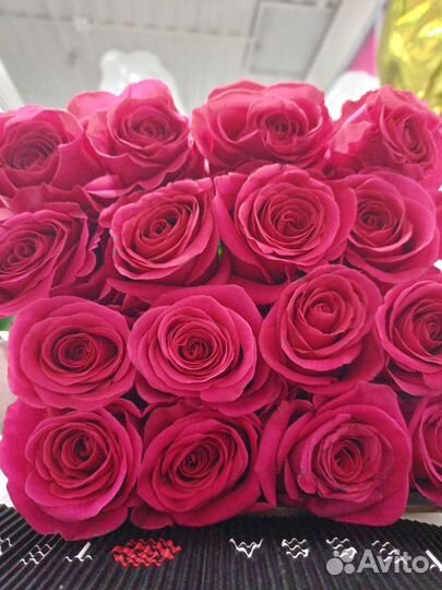 Розы в наличии и на заказ