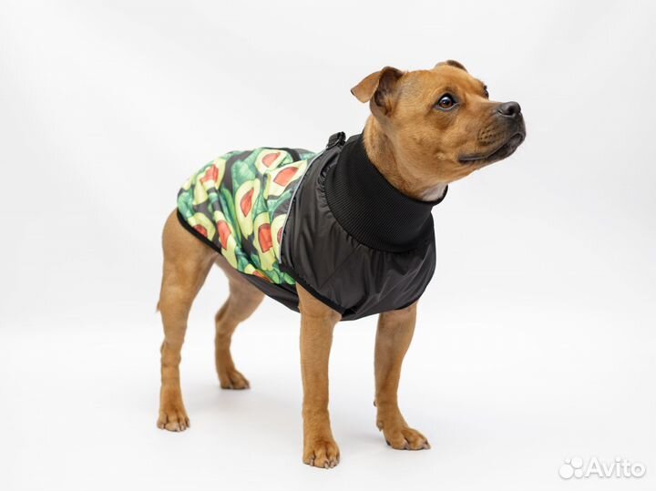 Жилетка для собак