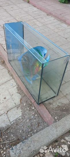 Аквариум 40 60 38