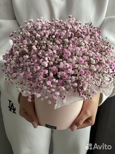 Гипсофила в коробке