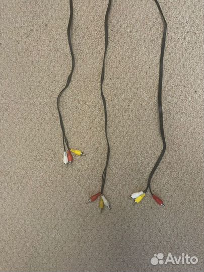 Тюльпаны провода