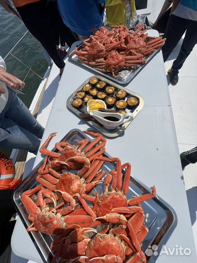 Туризм, Морские прогулки, морская рыбалка