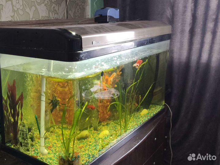 Аквариум