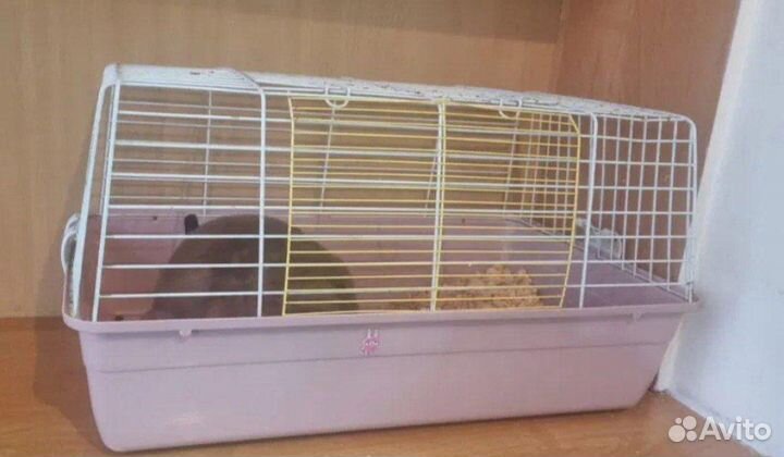 Клетка для грызунов большая