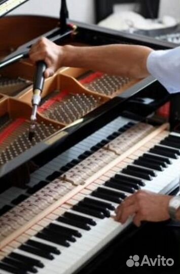 Настройка пианино