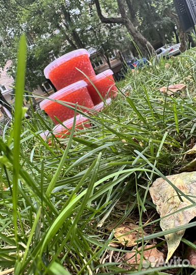 Красная икра кеты 2023г в наличии