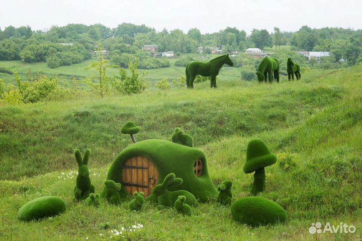 Топиарные фигуры из газона