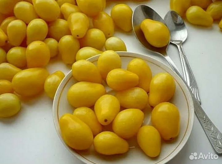 Томат золотой конёк черри