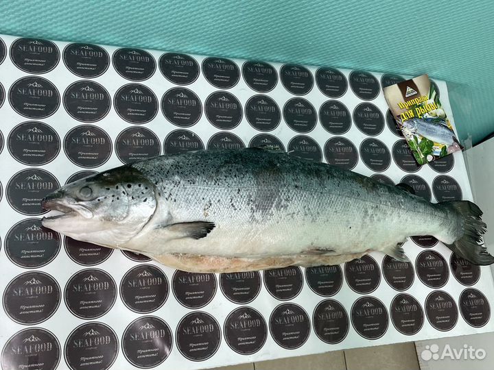 Семга свежемороженая