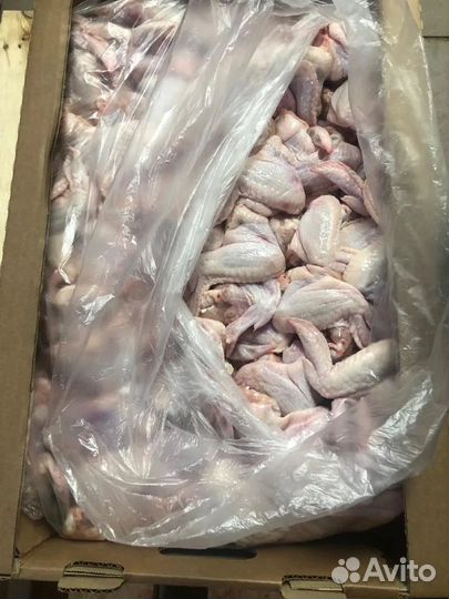 Мясо куриное крыло цб охлаждённое