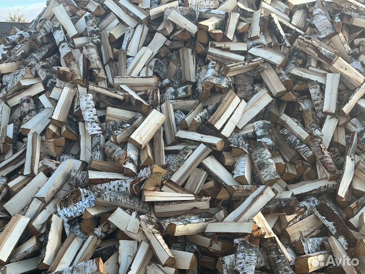 Дрова береза