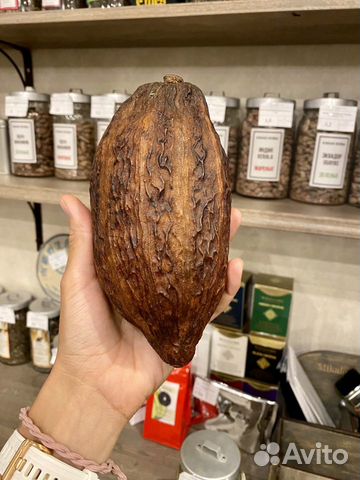 Какао бобы