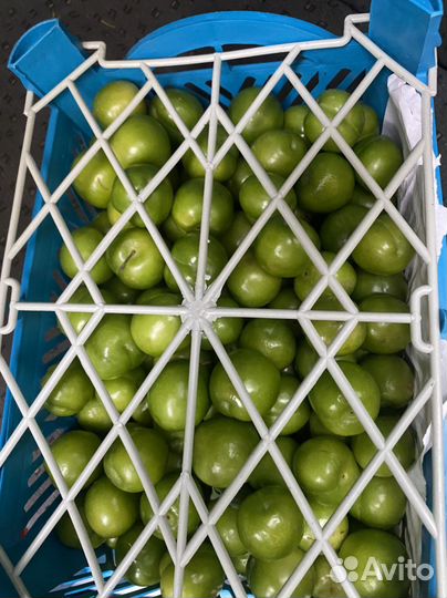 Алыча ящик 4кг крепкая кислая