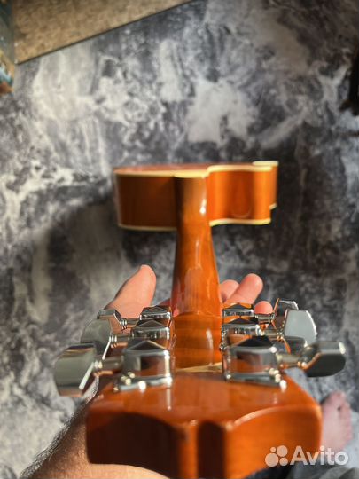 Гитара colombo