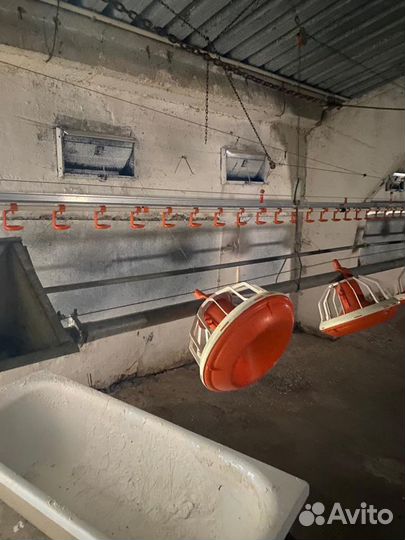 Комплект птицеводческого напольного Оборудование b
