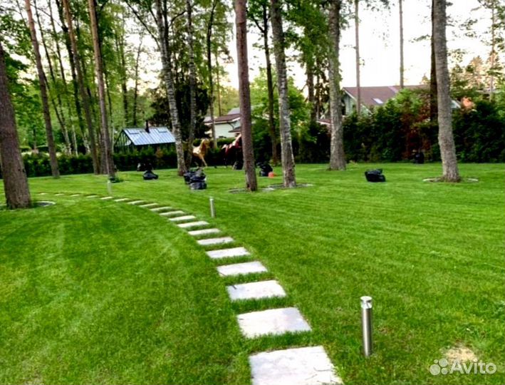 Рулонный газон