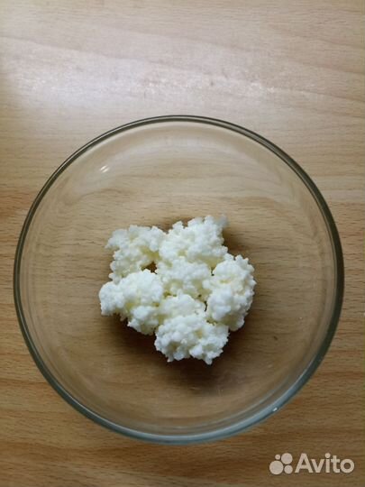 Тибетский молочный (кефирный)гриб