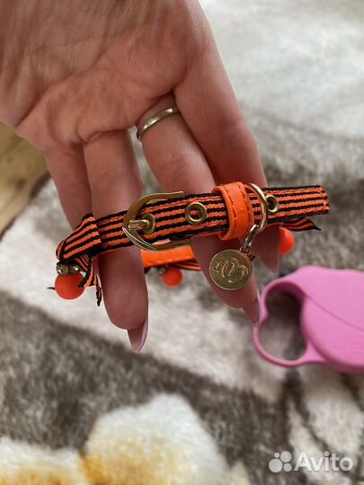 Ошейник и поводок для собачки