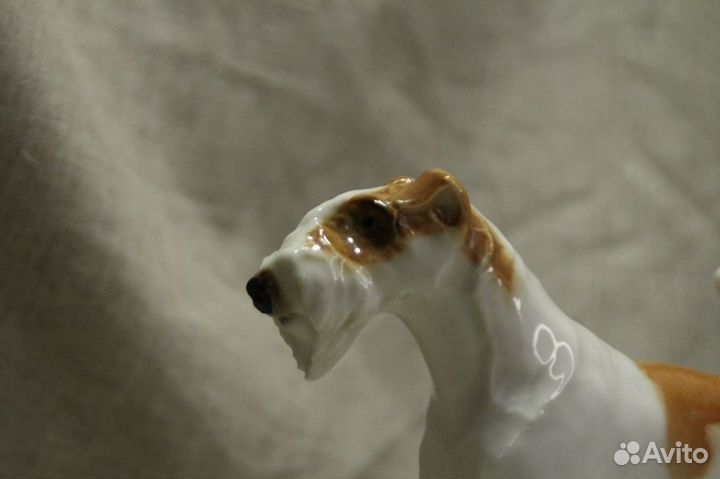 Статуэтка фарфоровая собака. Фокстерьер. лфз