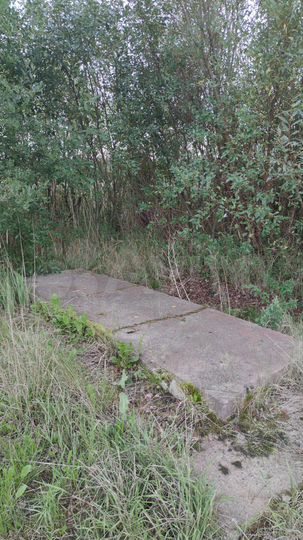 Участок 1,5 га (промназначения)