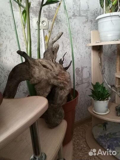 Коряги и пни для аквариума и декора