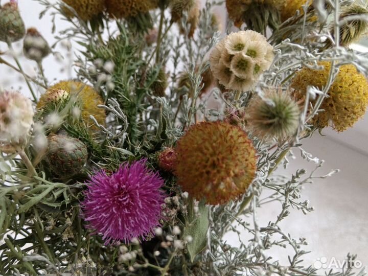 Букет из сухоцветов