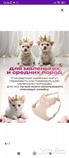 Шлейка с поводком для маленьких