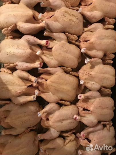 Мясо бройлера домашнее