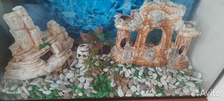 Аквариум и Украшение для аквариума