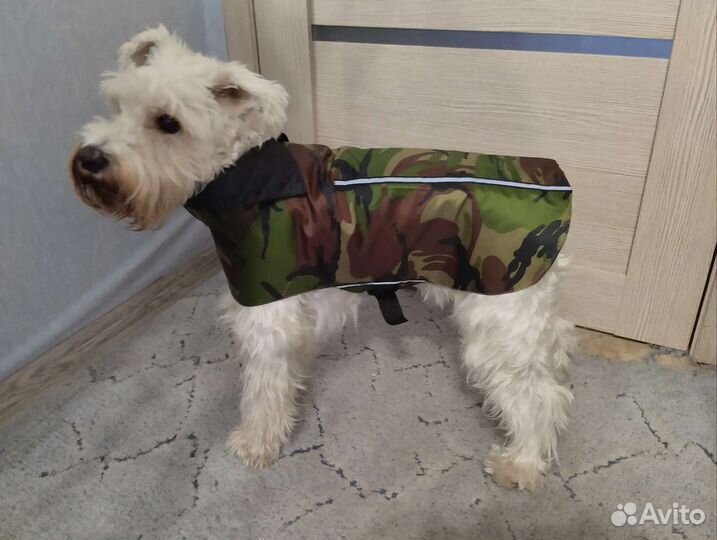 Попона на среднюю собаку