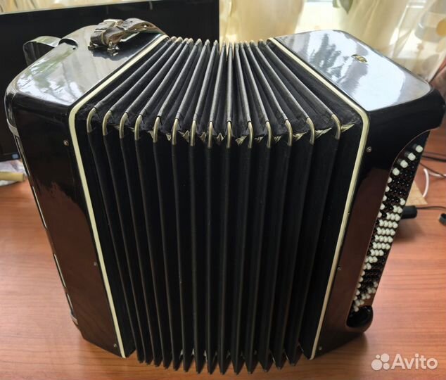 Баян горловский