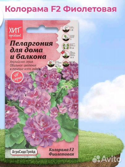 Колорама F1 фиолетовая