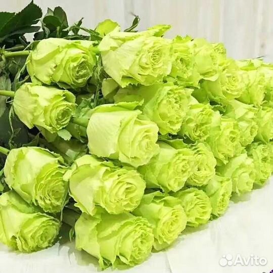 Цветы розы с доставкой