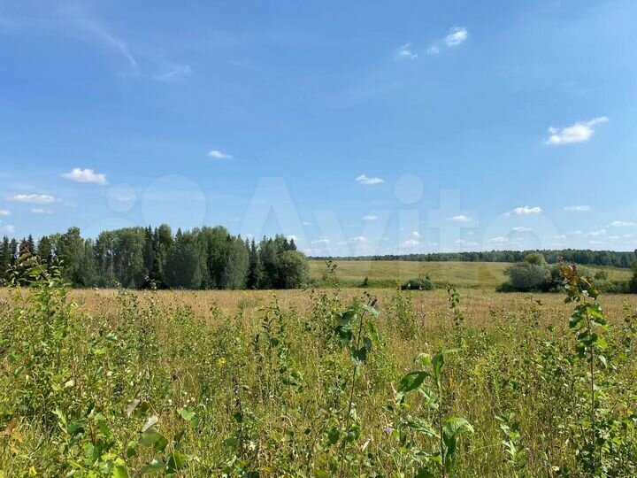 Участок 53,53 га (СНТ, ДНП)