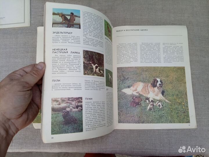 Валентин Тян. На ринг вызываются. Первая Всесоюзна