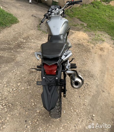 Stels Flex 250