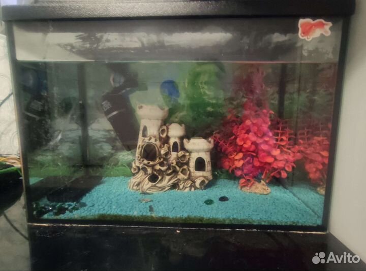 Аквариум