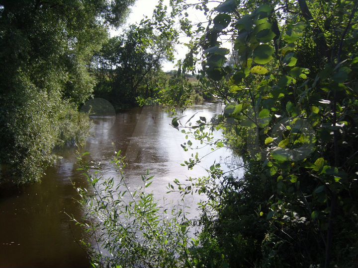 Участок 10,3 га (СНТ, ДНП)