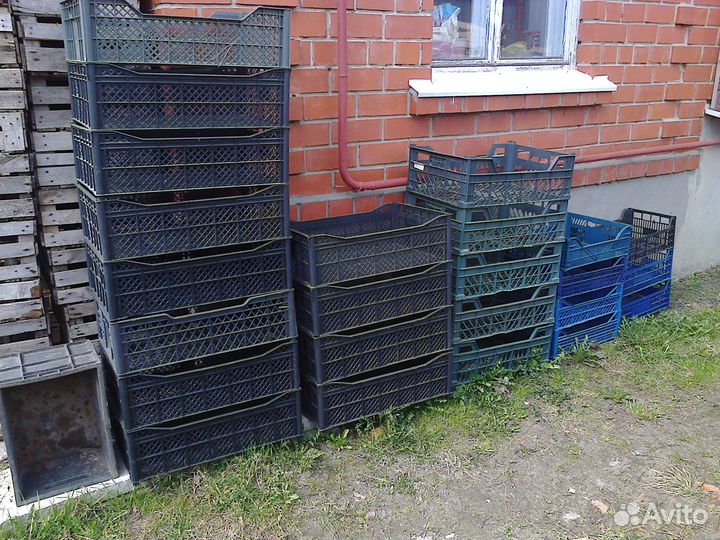 Пластиковые ящики бу