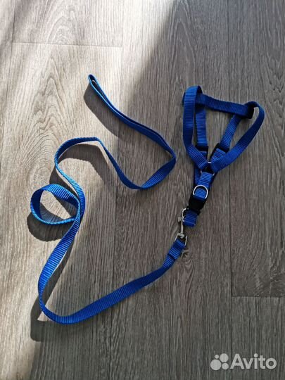 Поводок со шлейкой для кошек и мелких собак