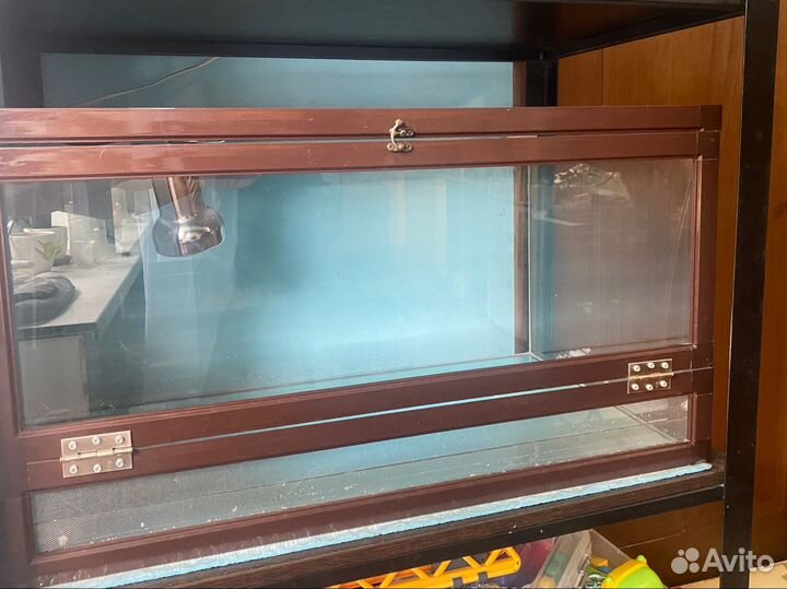 Террариум большой