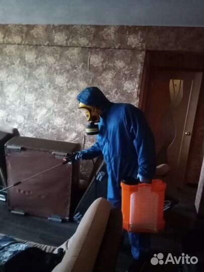 Уничтожение клопов тараканов клещей муравьёв блох