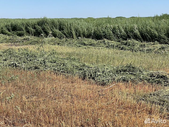 Сено в тюках и солома с поля