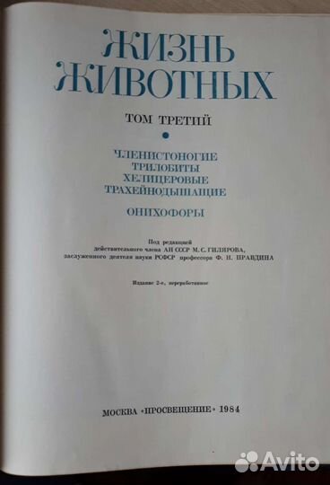 Жизнь животных