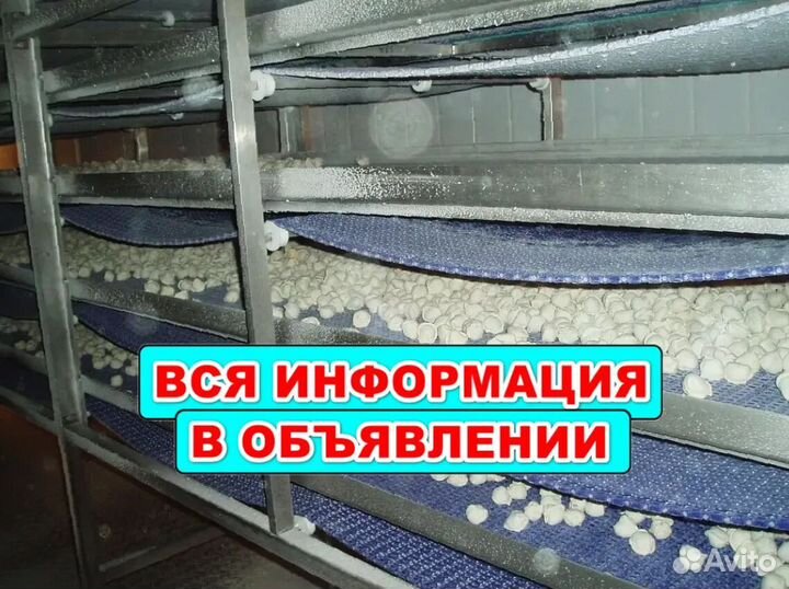 Холодильное оборудование шоковой заморозки