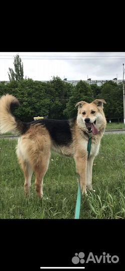 Подарите ему дом