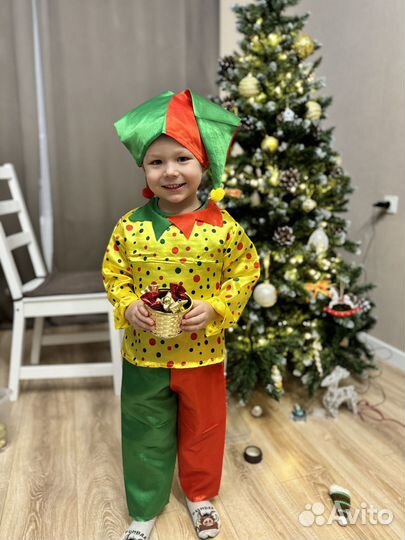 Костюм петрушки